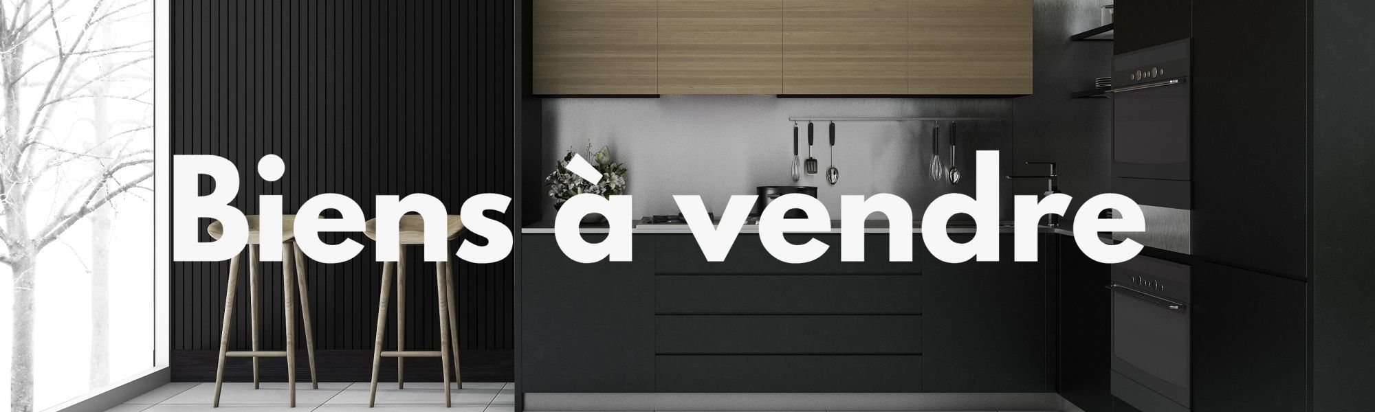 Annonces Ventes Immobilières